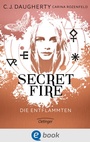 Cover: Secret Fire 1. Die Entflammten - Oetinger