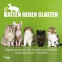 Bild: Katzen gegen Glatzen - Riva