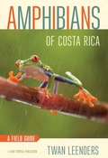 Cover: Amphibians of Costa Rica - Comstock Publishing Associates