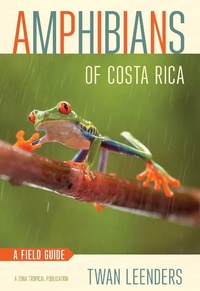 Abbildung von: Amphibians of Costa Rica - Cornell University Press