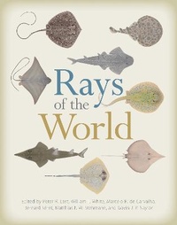 Enlarge image Cover: Rays of the World - Comstock Publishing Associates