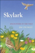 Cover: Skylark - Saraband