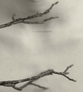 Cover: Linda Foard Roberts: Passage - Radius Books