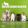 Bild: Katzen gegen Glatzen - Riva
