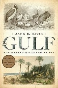 Enlarge image Cover: The Gulf - Liveright Publishing Corporation