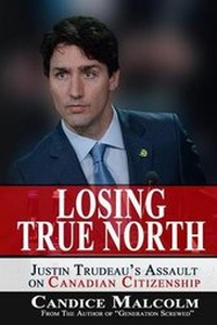 Abbildung von: Losing True North - Magna Carta Records