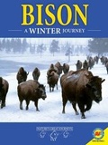 Cover: Bison: A Winter Journey - Av2