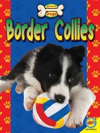 Enlarge image Cover: Border Collies - Av2