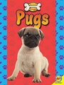 Cover: Pugs - Av2