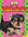 Cover: Yorkshire Terriers - Av2