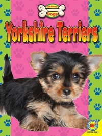 Enlarge image Cover: Yorkshire Terriers - Av2