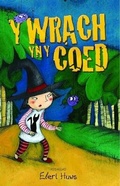 Cover: Y Wrach yn y Coed - Gwasg Carreg Gwalch