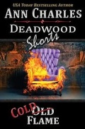 Cover: Cold Flame - Ann Charles