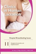 Cover: Clinics in Human Lactation 11: Hospital Breastfeeding Issues - Praeclarus Press