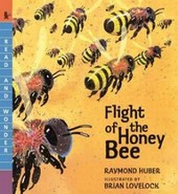 Enlarge image Cover: Flight of the Honey Bee - Turtleback Books