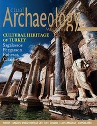 Abbildung von: Actual Archalogy - iBoo Press