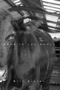 Cover: Bred in the Bone - Blurb