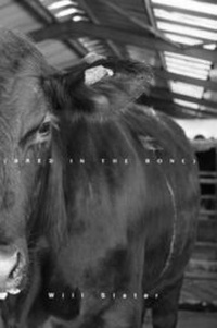 Enlarge image Cover: Bred in the Bone - Blurb
