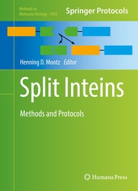 Abbildung von: Split Inteins - Humana