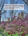 Cover: Deep Learning - MIT Press