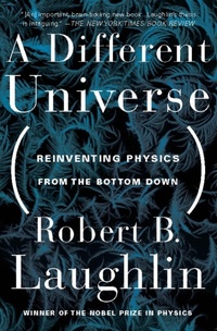 Enlarge image Cover: A Different Universe - Basic Books