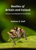 Cover: Beetles of Britain and Ireland: Cerambycidae to Curculionidae Volume 4 - A G Duff (Publishing)