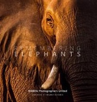 Enlarge image Cover: Remembering Elephants - Envisage Books