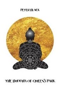 Cover: The Buddha of Queen's Park - Austin Macauley Publishers