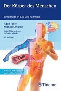 Bild vergrößern Bild: Der Körper des Menschen - Thieme