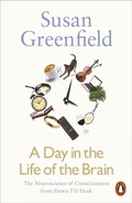 Cover: A Day in the Life of the Brain - Penguin Books Ltd