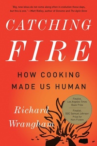 Enlarge image Cover: Catching Fire - Basic Books