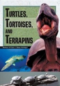Cover: Turtles, Tortoises and Terrapins - Shortland Publications (USA) Incorporated