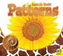 Cover: Patterns - Av2