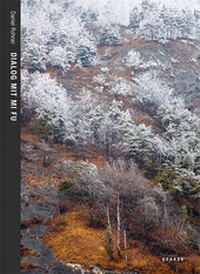 Enlarge image Cover: Daniel Rohner - Kehrer Verlag