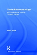 Cover: Visual Phenomenology - Routledge