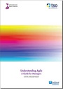 Cover: Understanding Agile - Stationery Office Books