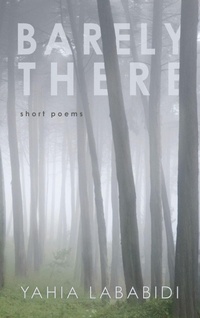 Enlarge image Cover: Barely There - Wipf & Stock Publishers