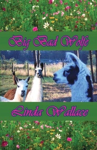 Enlarge image Cover: Big Bad Wolfe - Wings Epress, Inc.