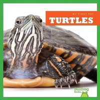 Abbildung von: Turtles - Bullfrog Books