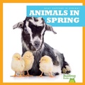 Cover: Animals in Spring - Bullfrog Books