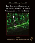 Cover: The Zebrafish: Cellular and Developmental Biology, Part A Cellular Biology - Academic Press
