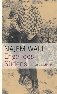 Abbildung von: Engel des Südens - Hanser