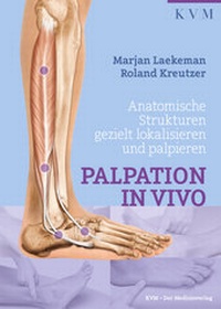 Abbildung von: Palpation in Vivo - KVM - Der Medizinverlag