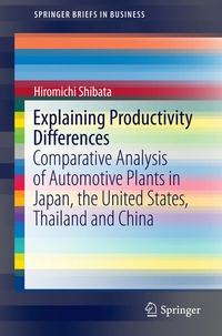 Abbildung von: Explaining Productivity Differences - Springer
