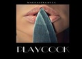 Cover: Playcooks / Playcook - epubli