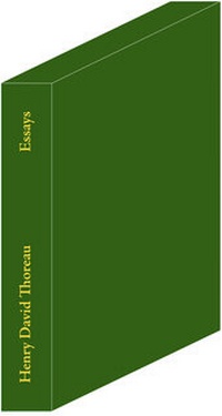 Enlarge image Cover: Essays - Göbel, Stefan