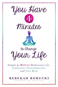 Abbildung von: You Have 4 Minutes to Change Your Life - Hay House Inc