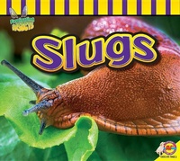 Enlarge image Cover: Slugs - Av2