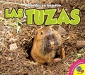 Cover: Las Tuzas - Av2
