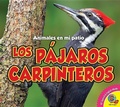 Cover: Los Pajaros Carpinteros - Av2